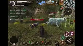 The Wolf - 9th Birthday🎂🐺 Event + Found a really good thing!! while hunting champs!! 