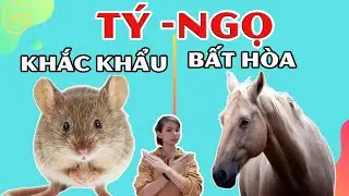 Tuổi Tý Với Tuổi Ngọ Có Hợp Nhau Không?