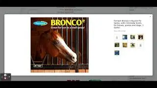 Farnam Bronco e Equine Fly Spray, with Citronella Scent, for horses, ponies and dogs, 1 Gallon
