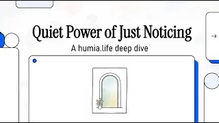 The Quiet Power of Just Noticing | How Perception Changes Your World