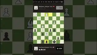 Elevator Music Chess - Bishop Fork Wins Rook - USA vs. T&uuml;rkiye #chess #gameplay #win #chessgame 