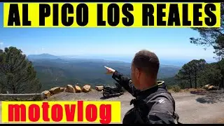 Ruta al pico Los Reales con la Honda Forza 125 | 🏍️ motovlog