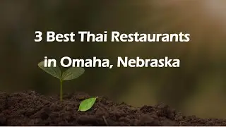 3 Best Thai Restaurants in Omaha, Nebraska | Thai Cuisine
