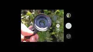 Sanyk 15x 4k HD macro lens sample video + shots