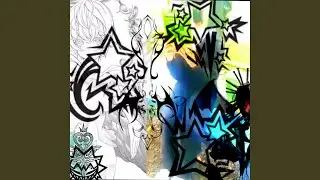 Organization Xiii