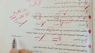 حل كتاب الامتحان - النموذج 10 - مراجعة نهائية    لغة عربية  -  ثانوية عامة 2025