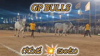 చిలకలూరిపేట న్యూ కేటగిరి 3వ GP BULLS కొండబాటూరు గ్రామం గుంటూరు జిల్లా...