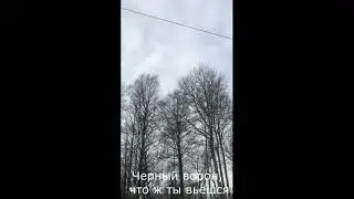 Осеняя прогулка