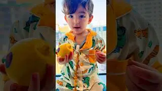 كميت اختفى من البيت😱