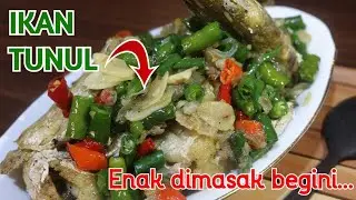 🔴 Ikan Tunul Ternyata Enak Dimasak Seperti Ini..