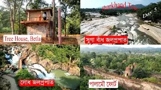 Jharkhand Day 5 | লোধ ফলস  | সুগা বাঁধ ফলস | মিরচাইয়া ফলস | বেতলা | Palamu Fort | Tree House |