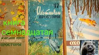 Охотничьи просторы альманах 17