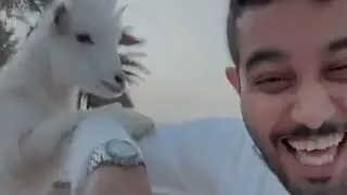معركه شدوق 😂😭سنابات ابوحصه و ابوعجيب