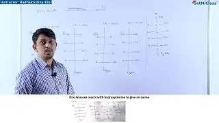 Glucose reaction with hydroxylamine NEET 12th Chemistry Biomolecules