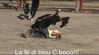 Aigues-Mortes ▶course au plan - manade Vinuesa◀ 08.10.2024.