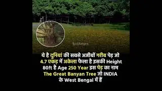 #Interesting Fact#