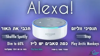 הרמקול החכם שעולה רק 50 דולר! Echo Dot סיקור מלא