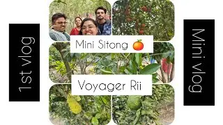 Mini Sitong 🍊 | 1st vlog | Mini vlog | One day tour | Family | Refreshment | Nature 🌳