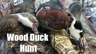 Duck Hunting 2016 - Episode #2 : 