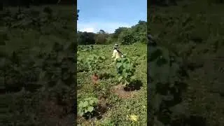 Less manpower