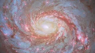 Pan: Messier 77