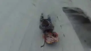 Snow Body Board