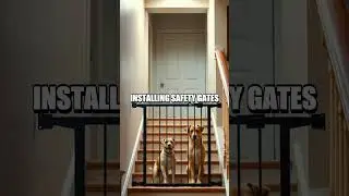 Safe Home Practices for Pet Care