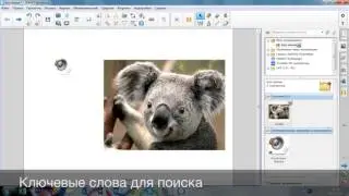 Папка 