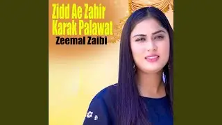 Zidd Ae Zahir Karak Palawat