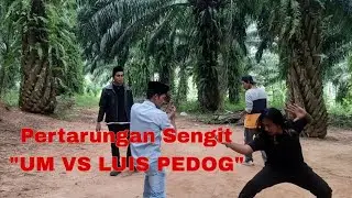 🔴BANG BECK TERBARU || TAU RASA !!!  Ustadz UM Kasih Faham Lois Pedog 