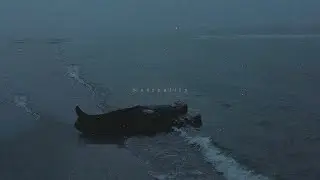 (playlist slowed) what love sounds like.
