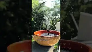 Eco-Friendly Bird Fountain: Add Water & Sun! #birdfountain #solarpump