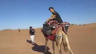 WallTek - Marocco Connexion - Official  Video