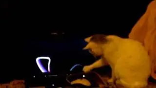 OscarPlay2.AVI