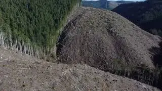 1000 yd shot