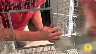 KW Cages Model 3680 Assembly by Sunshine Lops Rabbitry