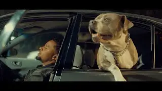 Lul Smoove - So Many Places (Official Video)