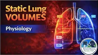 Static Lung Volumes | Respiratory Physiology | Anaesthesia Review Hub
