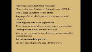 🧠🌊 Clearing the Brain: CSF Flow, Sleep, and Neuroimmunity