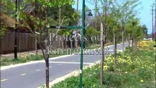 Single Tree Staking Systems