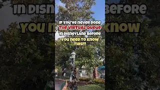 Must know! Virtual queue in Disneyland. #disneytrip