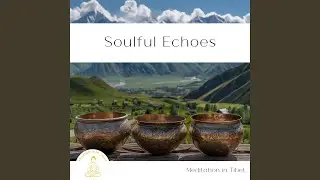 Soulful Echoes