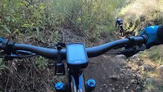 Orbea Rise@Circus DH Ted williams