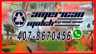 American Mulch & Ground Cover, Orlando Fl, uses mulch only top quality