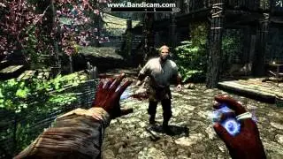 Skyrim Birdemic Mod - Summon Explosive Chicken of Doom