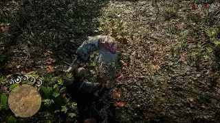 RDR2 - ''When the developers actually pay attention to the little details....''