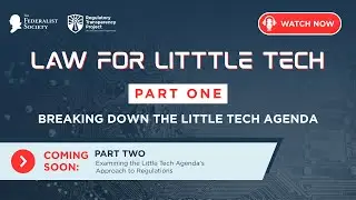 Law For Little Tech: Part 1 - Breaking Down the Little Tech Agenda
