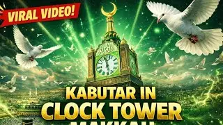 🕋 Makkah Clock Tower Live | Kabutar Walking 💚 🌟