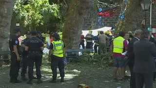 Falling tree kills 12 and injures 52 in Madeira