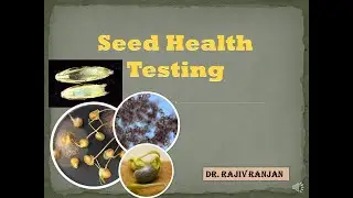 Seed Health Testing